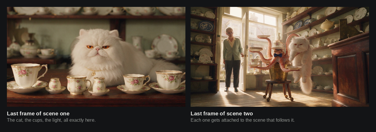 Two frames used as continuity anchors: a white cat sitting among teacups, and a wide shot of the shopkeeper and the octopus in the shop